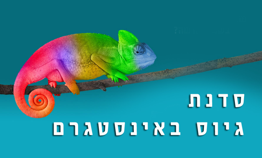 סדנת גיוס באינסטגרם